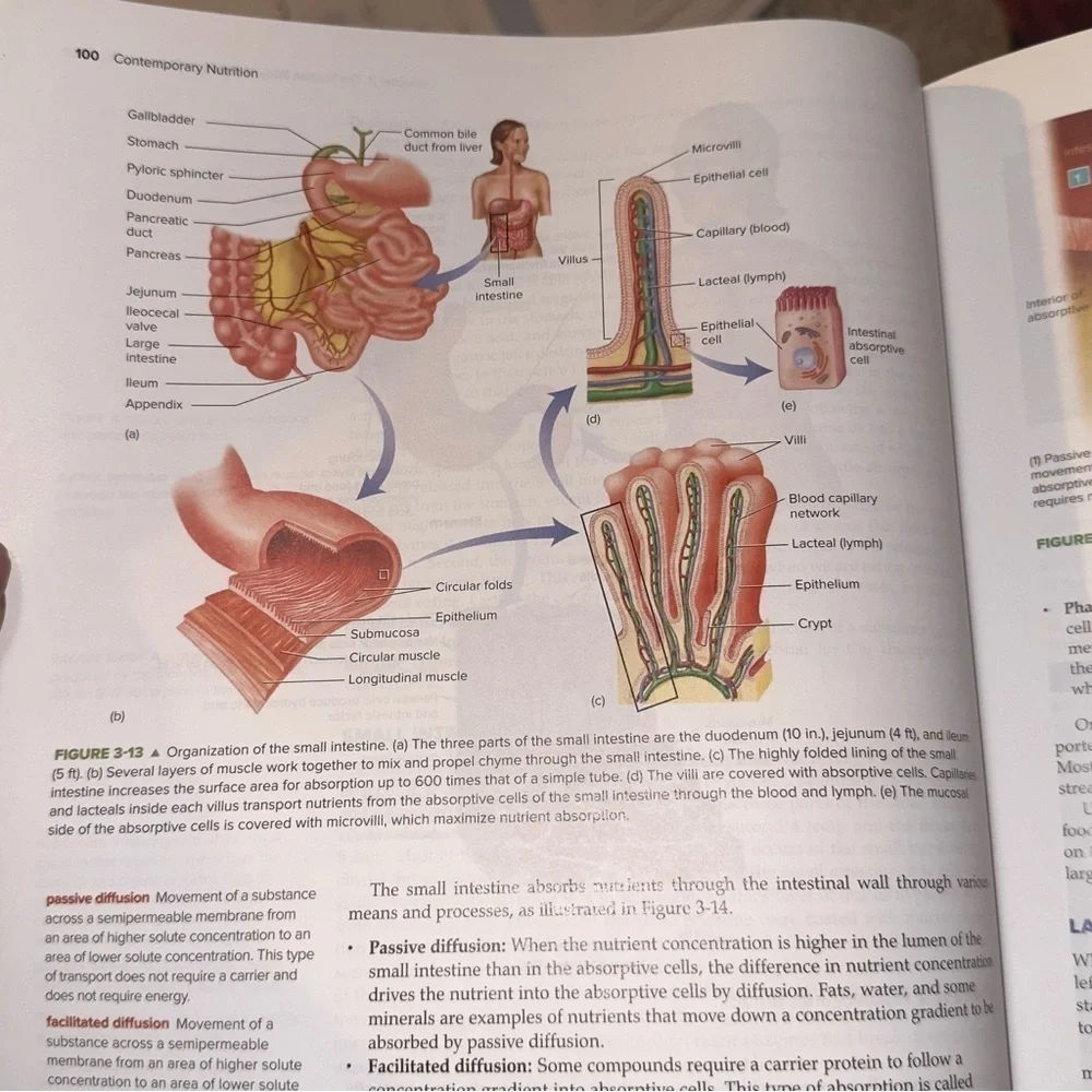 Wardlaw’s Contemporary Nutrition, 11th Edition – International Student Edition